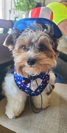  Steven H., Virginia
